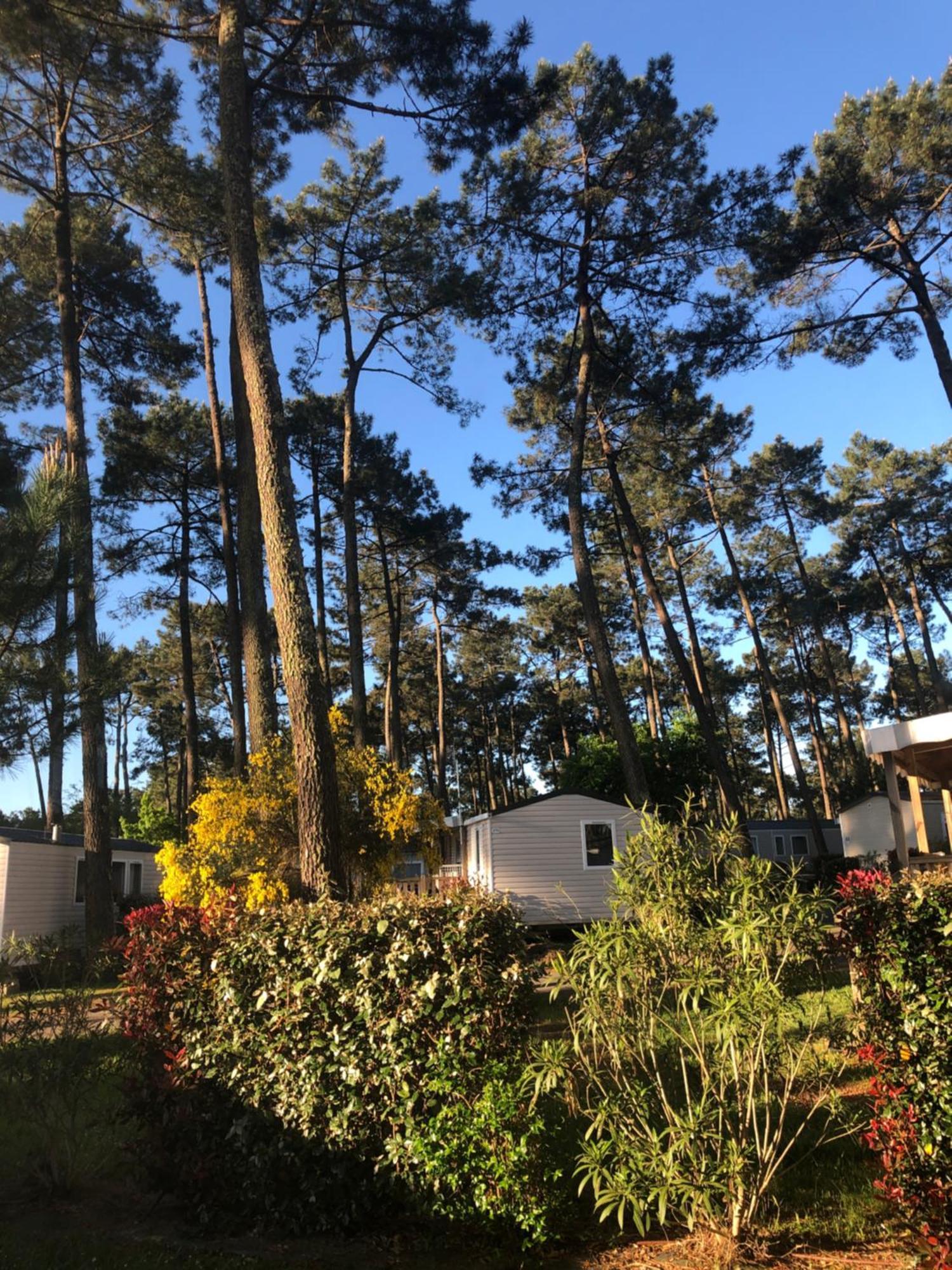 Mobile Home - Les Dunes De Contis سان جوليان-أون-بورن المظهر الخارجي الصورة